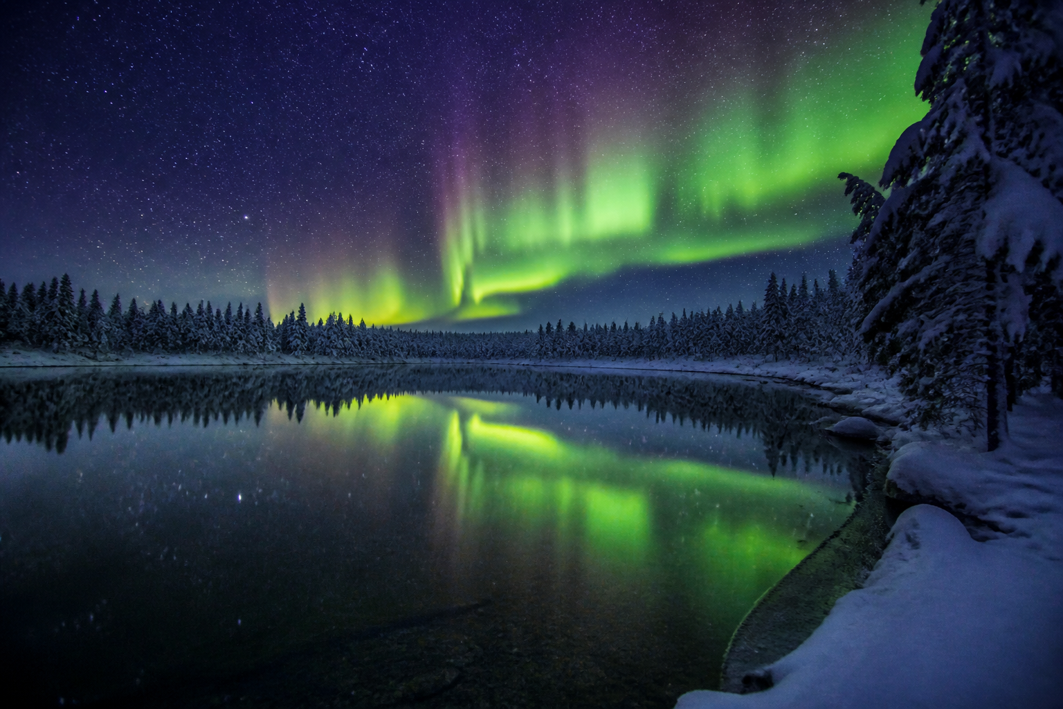The Best Time to Visit Lapland: A Month-by-Month Guide
