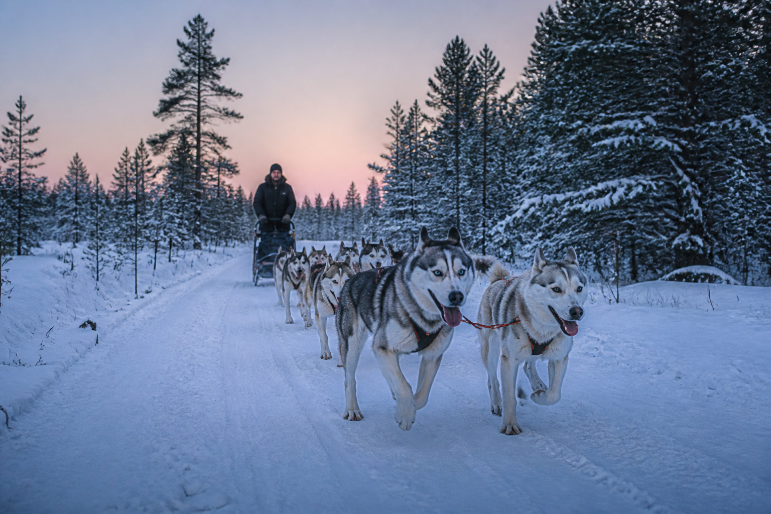 What To Do In Rovaniemi This Winter